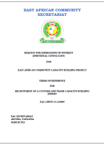 Screenshot 2023-03-29 173921 Customs and Trade Capacity Building Expert